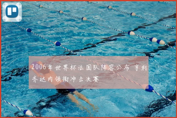 2006年世界杯法国队阵容公布 亨利齐达内领衔冲击决赛