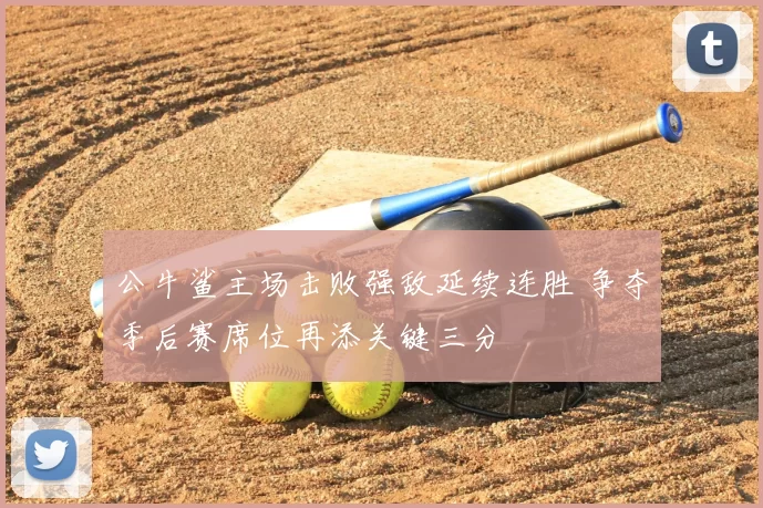 公牛鲨主场击败强敌延续连胜 争夺季后赛席位再添关键三分