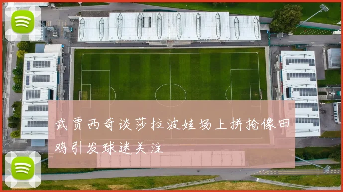 武贾西奇谈莎拉波娃场上拼抢像田鸡引发球迷关注