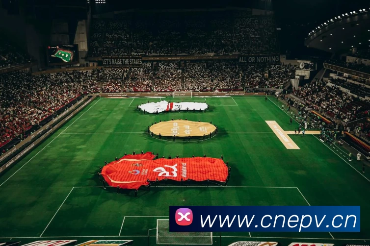 数据防护可视化